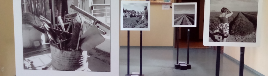 Exposition de phtographies de Philippe Lemonnier