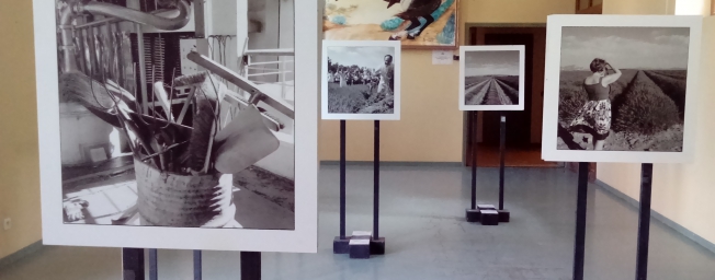 Exposition de phtographies de Philippe Lemonnier